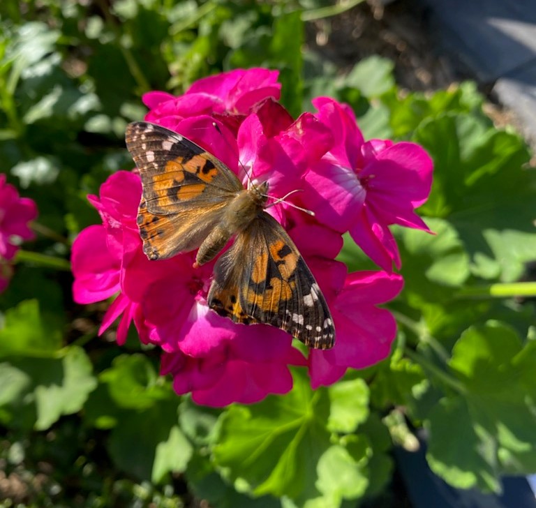 Supplied by the City of Saskatoon