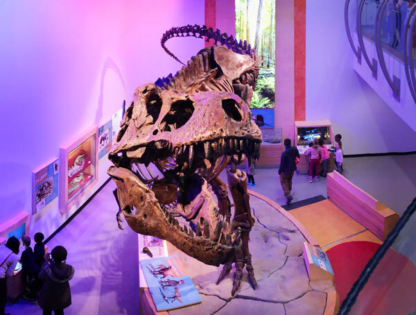 Canadian dinosaur named 'Scotty' named world's biggest T. rex
