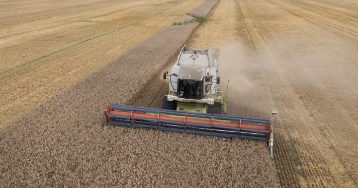 Ukrainian food exports increase while Russian fertilizer stalls, UN says