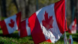 Canadian flags fly on a trimmed lawn to honour veterans.