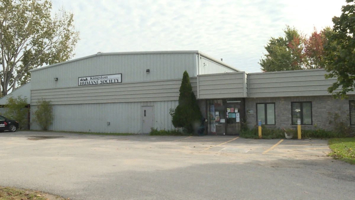 The Kingston Humane Society will be opening a low-cost spay/neuter clinic on August 25.