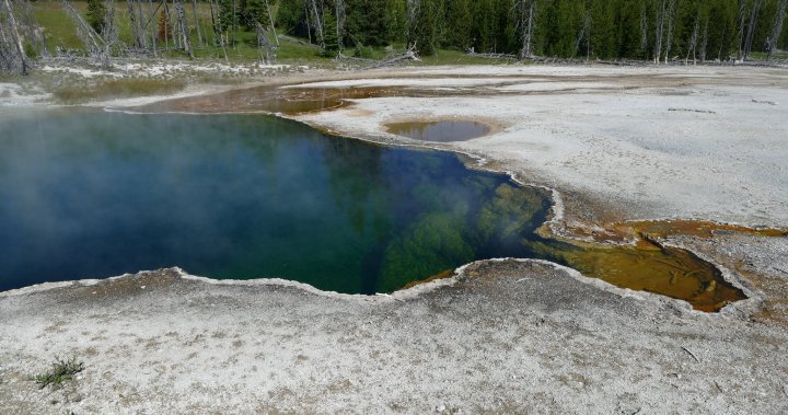 Human foot inside shoe found in Yellowstone Park hot spring