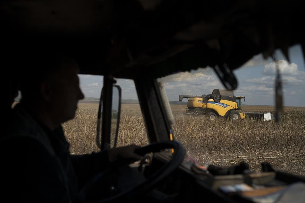 According to the report, Saskatchewan makes up roughly 40 per cent of the country's cropland, 20 per cent of the cattle herd and almost 30 per cent of Canada's GHG emissions from agriculture.