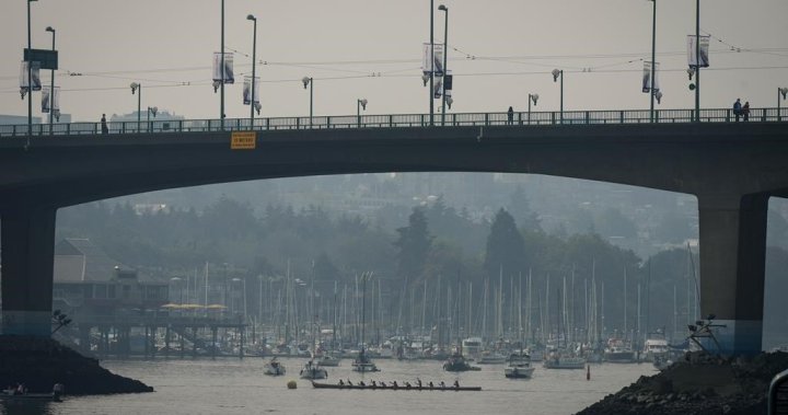 Vancouver’s air pollution spiked in 2022, likely due to wildfires: report