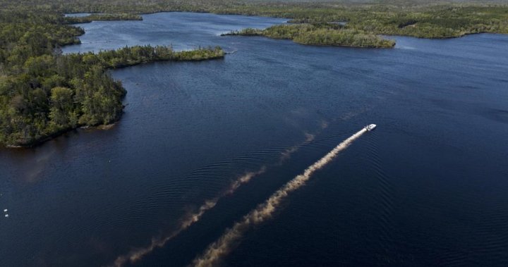Pesticide used in attempt to eradicate invasive fish species in Nova Scotia lake
