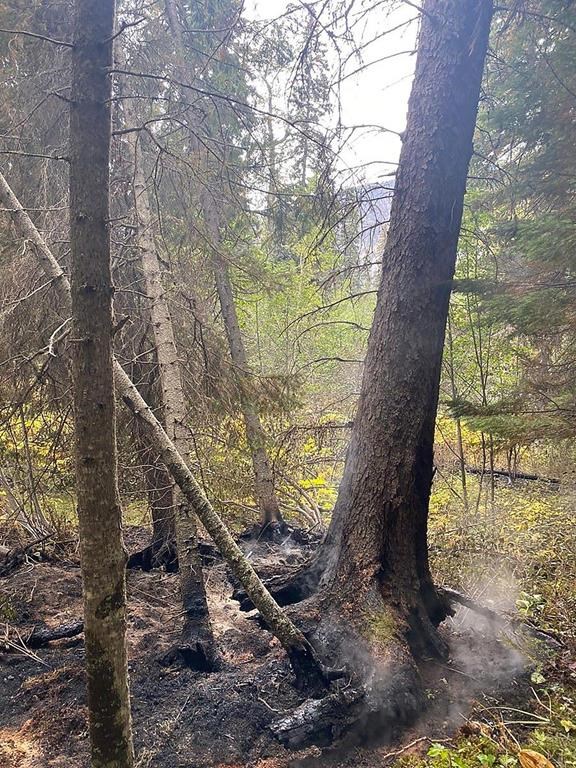 As Wildfire Risk Fades, The Last Remaining Campfire Ban Is Lifted In B ...