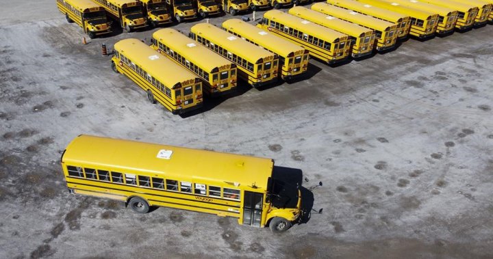 Manitoba school divisions once again battling bus driver shortages, transportation issues