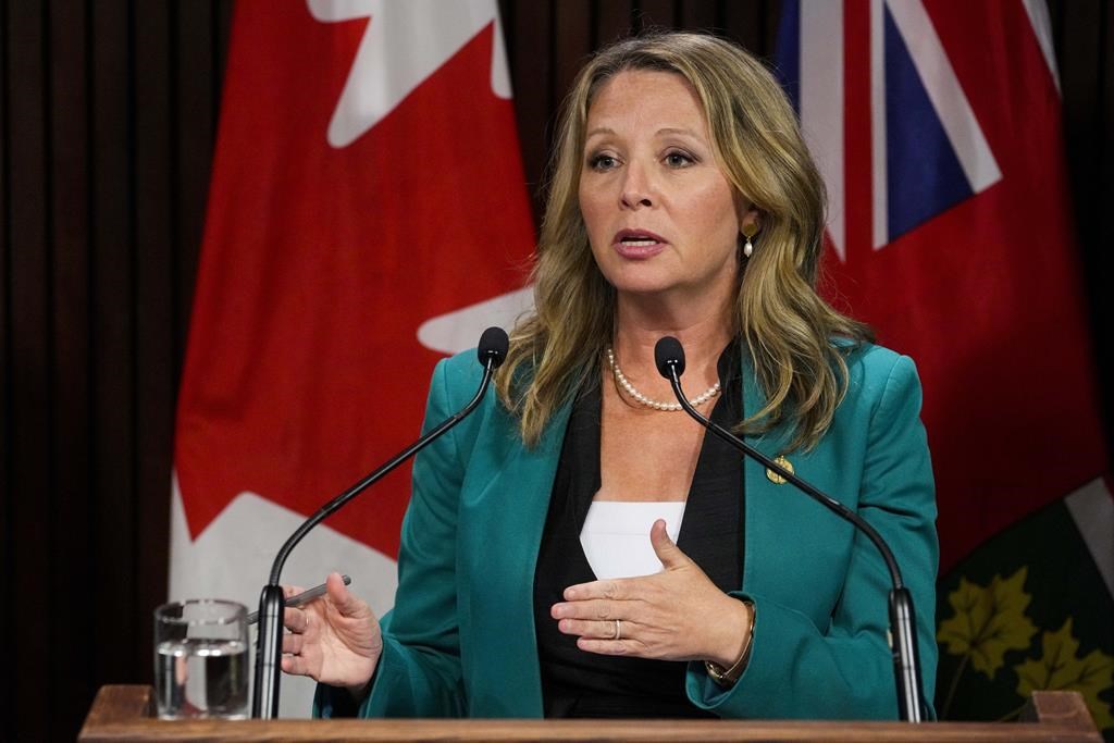 Marit Stiles Becomes First Candidate To Enter Ontario NDP Leadership ...