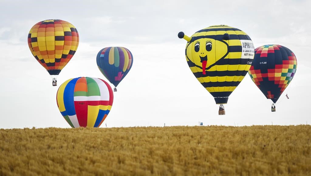 Hot-air balloons soar over fields during the Heritage Inn International Balloon Festival near High River, Alta., Thursday, Sept. 22, 2022.