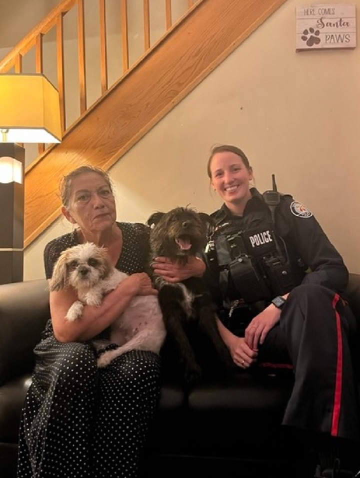 Two stolen dogs were returned to their owner by Toronto police.