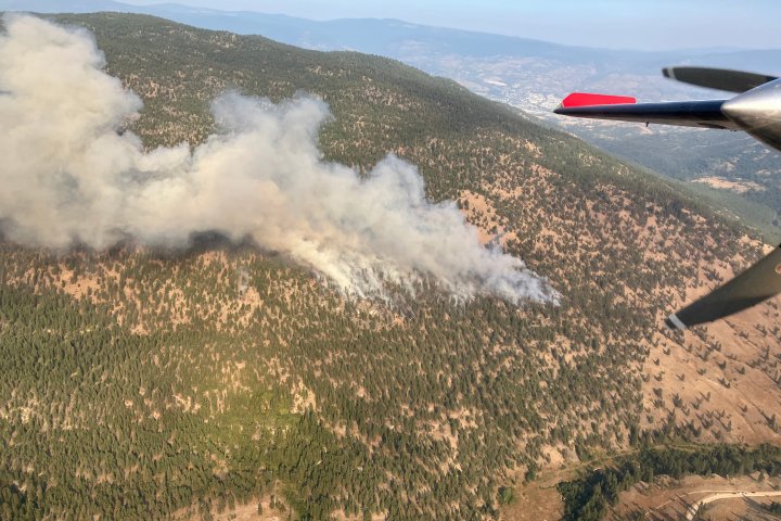Blue Mountain wildfire in South Okanagan estimated at 54 hectares