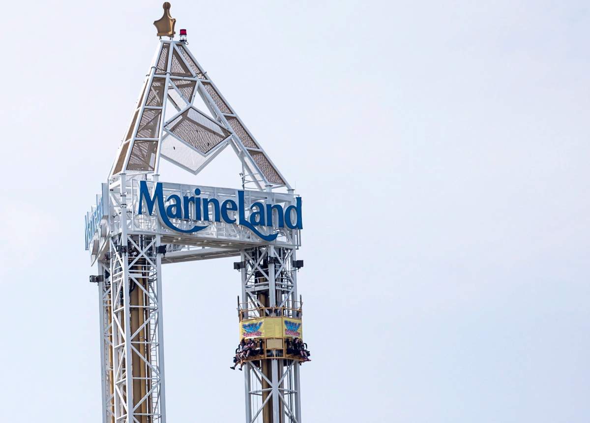 Patrons try a ride at Marineland in Niagara Falls, Ont., Monday, August 14, 2017. Marineland has announced the passing of its "beloved" beluga whale Gia. THE CANADIAN PRESS/Tara Walton.