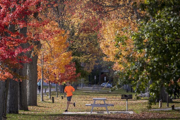 A person runs in a park with fall colours in Kingston, Ontario on Wednesday November 3, 2021. 