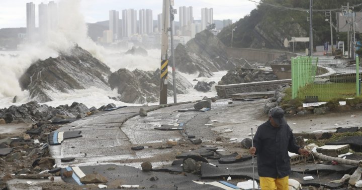 강력한 태풍이 한국을 강타하여 수천 명의 피난처를 찾아 피난 – National