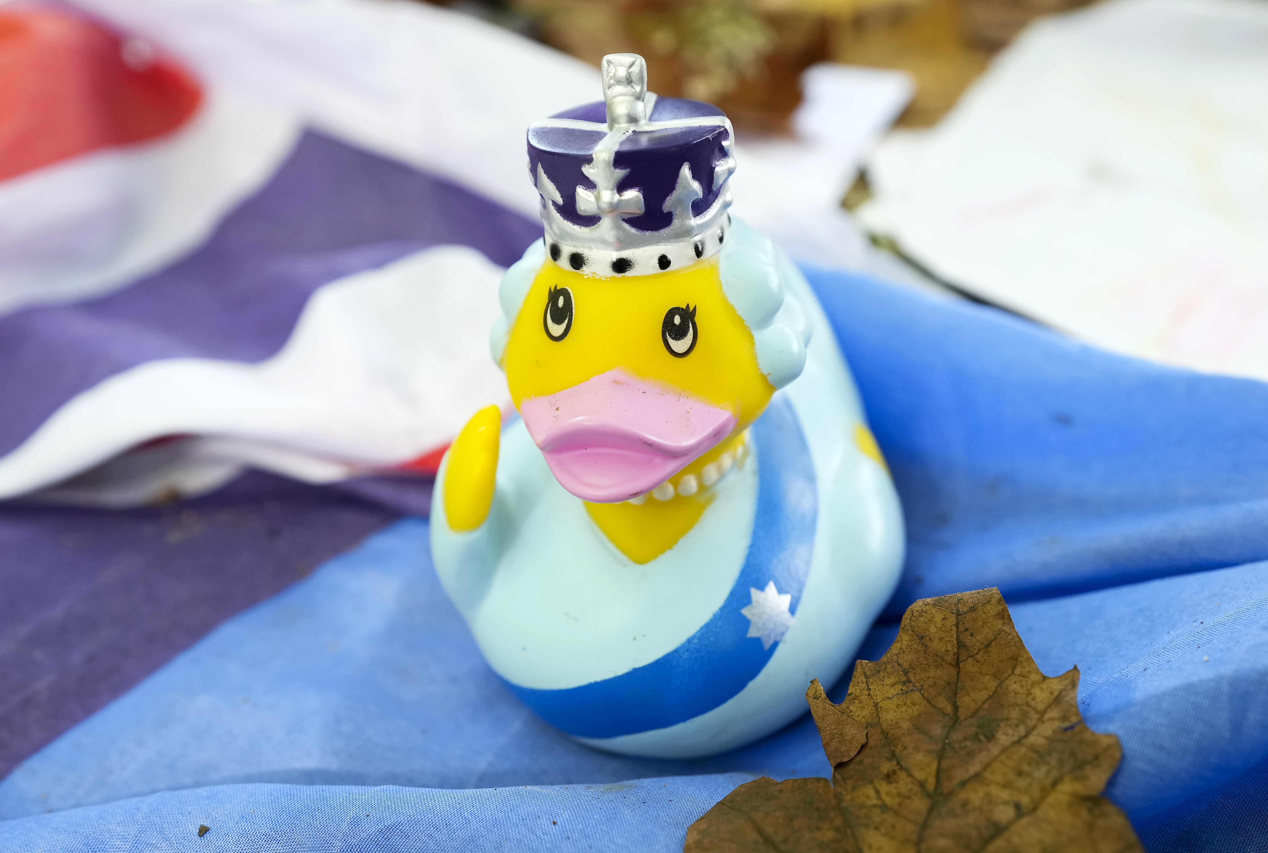 Queen Elizabeth Marmalade sandwiches, rubber ducks and flamingoes left at London tribute picture