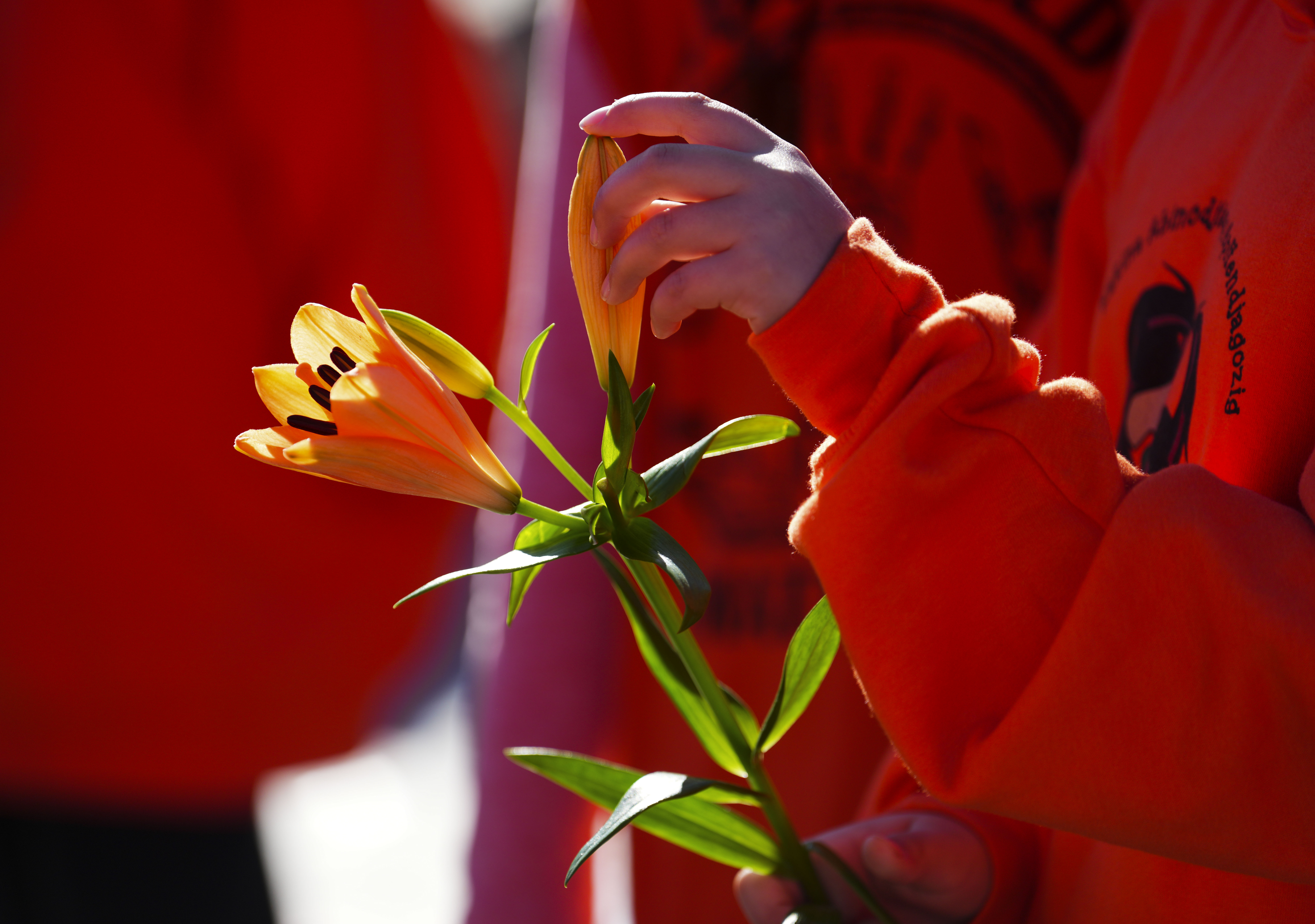 UCN creates Department of Indigenous Initiatives and Reconciliation  | 24CA News