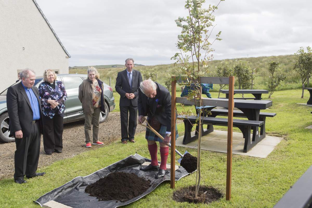 Charles tree planting