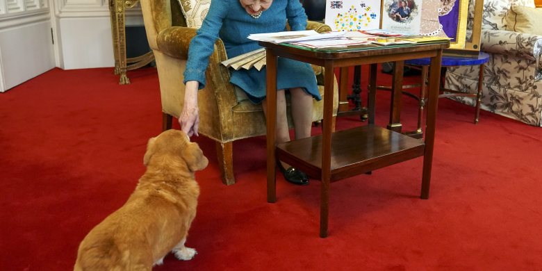 What will happen to Queen Elizabeth II's beloved pet dogs now?