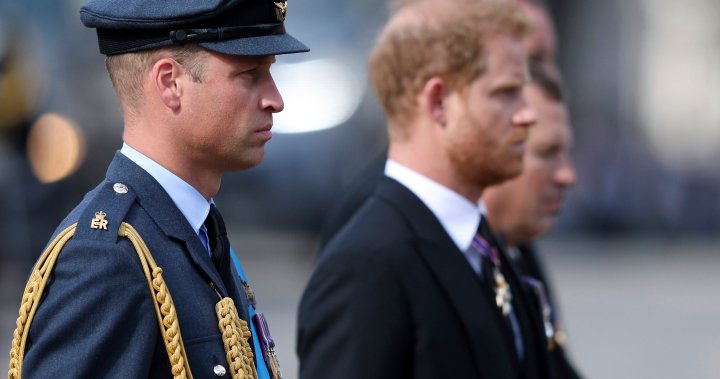 Princes William and Harry to hold silent vigil by Queen Elizabeth II’s coffin