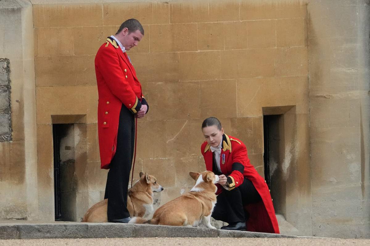 Members of staff, with two of the queen’s corgi dogs, Muick and Sandy, await the arrival of the coffin of Queen Elizabeth II at Windsor Castle, Windsor, England, Monday Sept. 19, 2022. (AP Photo/Gregorio Borgia, Pool)