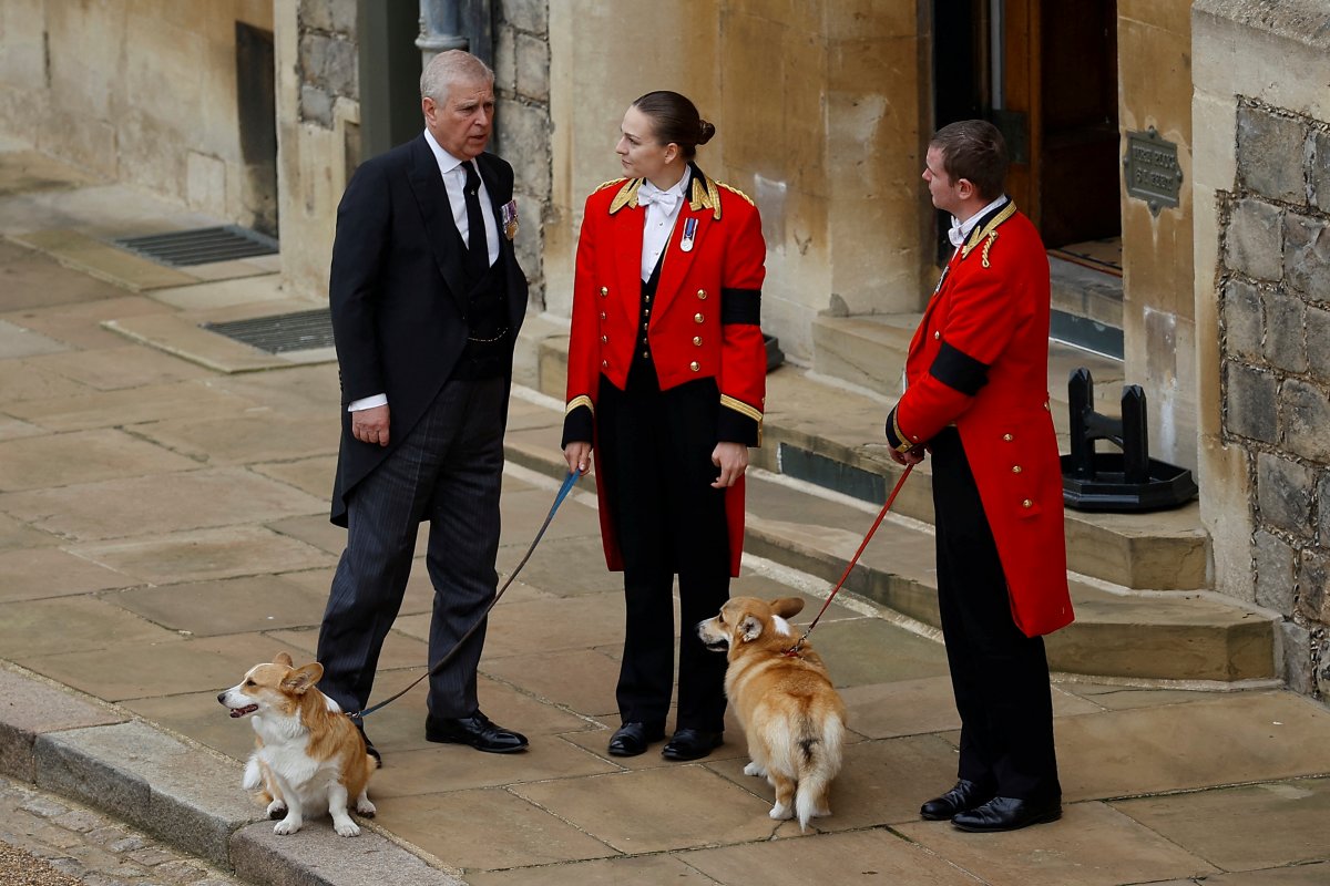 Britain’s Prince Andrew stands next to the royal corgis as they await the cortege on the day of the state funeral and burial of Britain’s Queen Elizabeth II, at Windsor Castle, Monday Sept. 19, 2022.