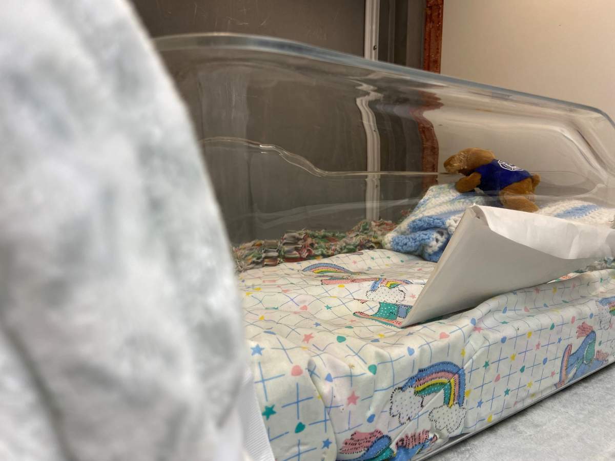 Inside Hope’s Cradle, a temperature controlled bassinet.