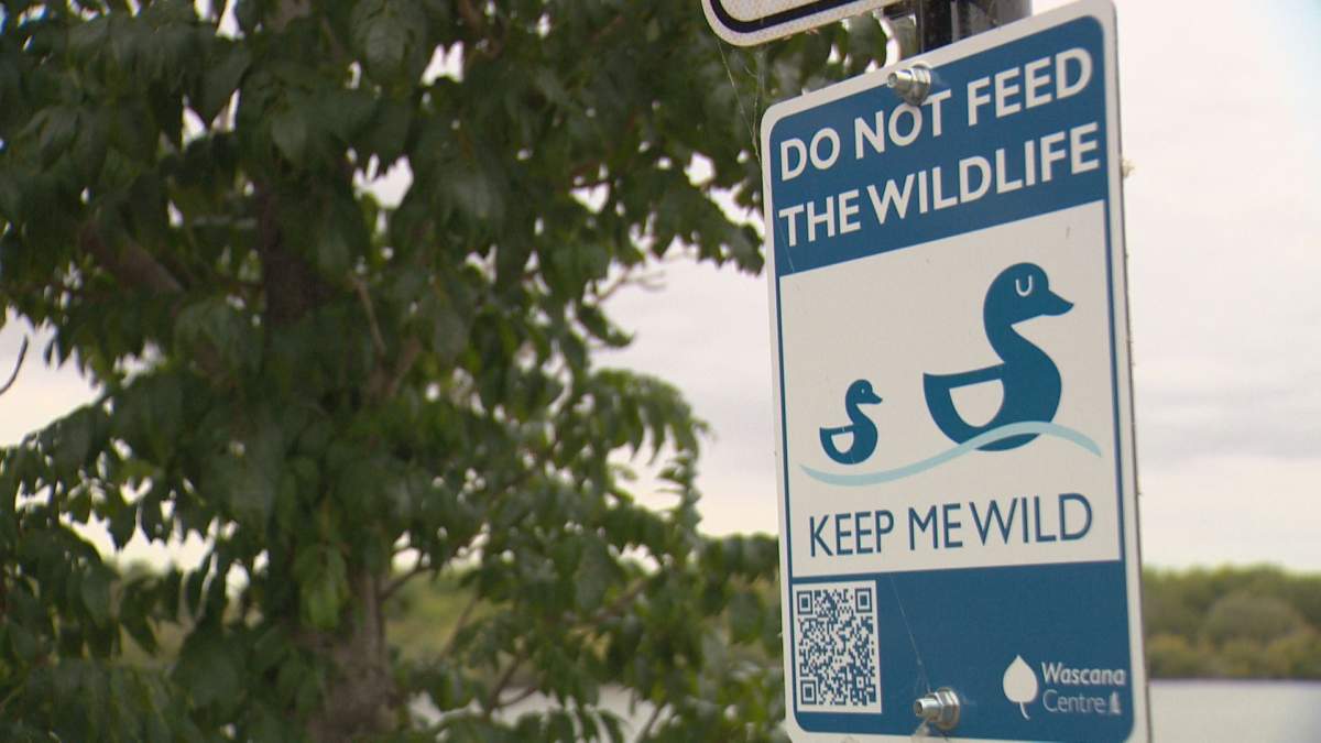 New signs in the park display a QR code that directs users towards a website explaining the hazards of feeding wildlife.