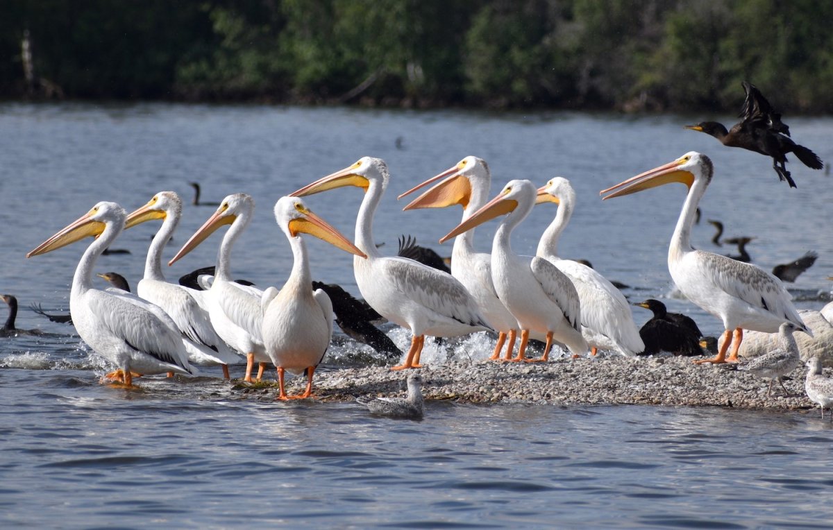 The September 9 Your Saskatchewan photo of the day was taken by Maria B. at Weyakwin Lake.