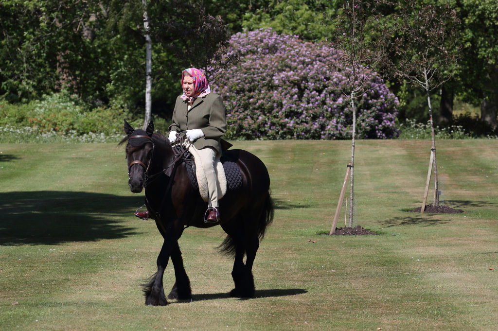 Queen Elizabeth II rides Balmoral Fern, a 14-year-old Fell Pony, in Windsor Home Park over the weekend of May 30 and May 31, 2020 in Windsor, England. The Queen has been in residence at Windsor Castle during the coronavirus pandemic.