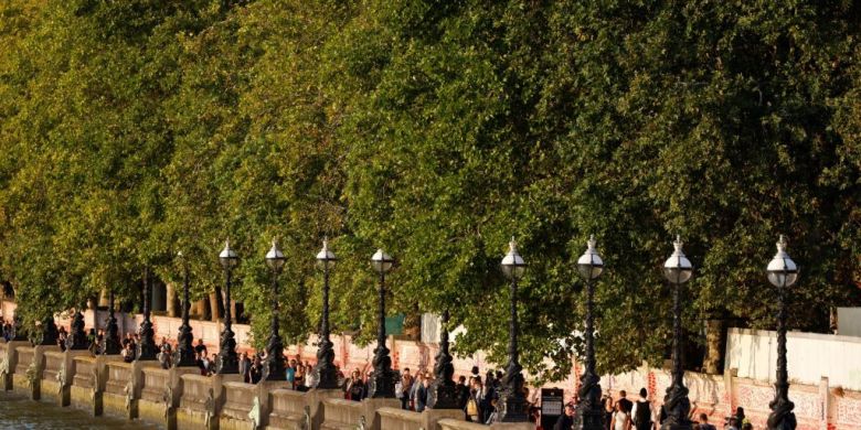 400K-person lineup to see queen's coffin could be 'horrible' and gruelling, say experts