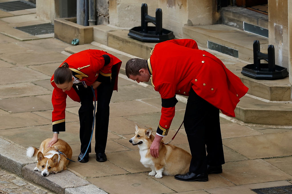 The Queen’s Beloved Corgis And Pony Brought Out To Say Goodbye During ...