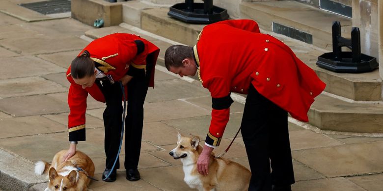 The queen's beloved corgis and pony brought out to say goodbye during funeral