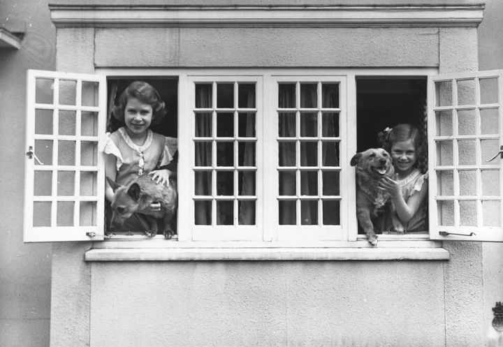 The Royal Princesses Elizabeth and Margaret (1930-2002) at the windows of the Royal Welsh House with two Corgi dogs, June 1936.