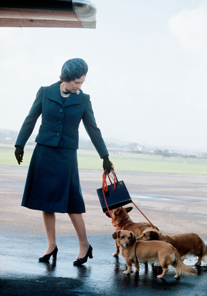 Queen Elizabeth ll arrives at Aberdeen Airport with her corgis to start her holidays in Balmoral, Scotland in 1974.