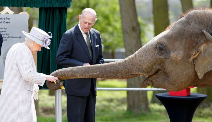 Queen Elizabeth II and Prince Philip, Duke of Edinburgh feed bananas to Donna, a 7-year-old Asian Elephant, as they open the new Centre for Elephant Care at ZSL Whipsnade Zoo on April 11, 2017, in Dunstable, England.