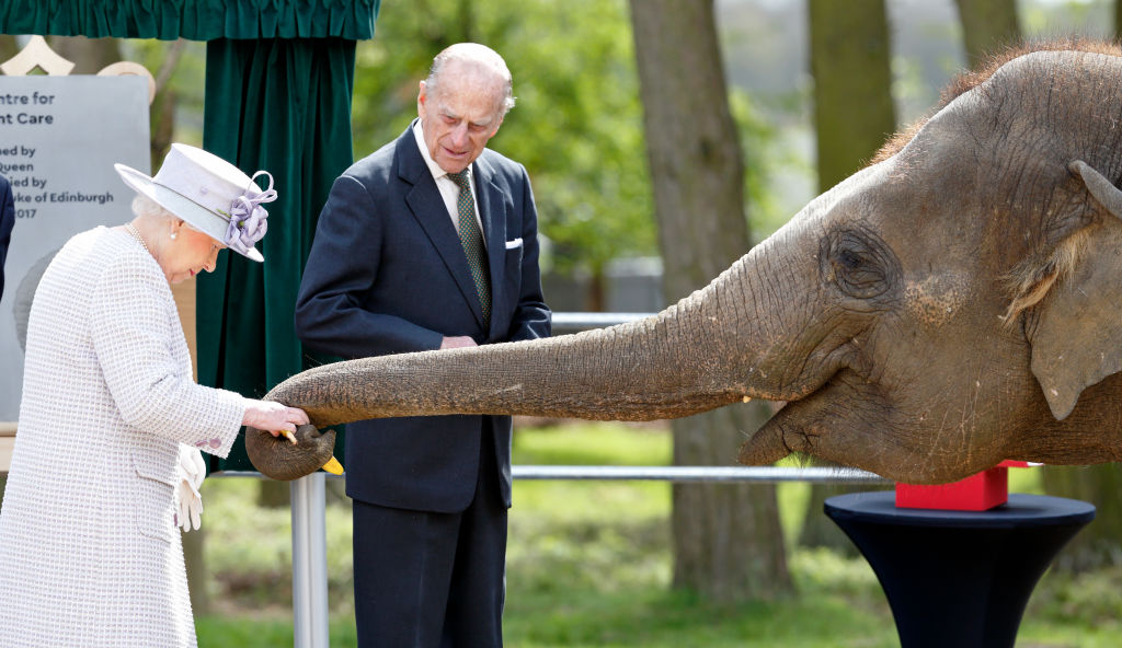 Queen Elizabeth II and Prince Philip, Duke of Edinburgh feed bananas to Donna, a 7 year old Asian Elephant, as they open the new Centre for Elephant Care at ZSL Whipsnade Zoo on April 11, 2017 in Dunstable, England.