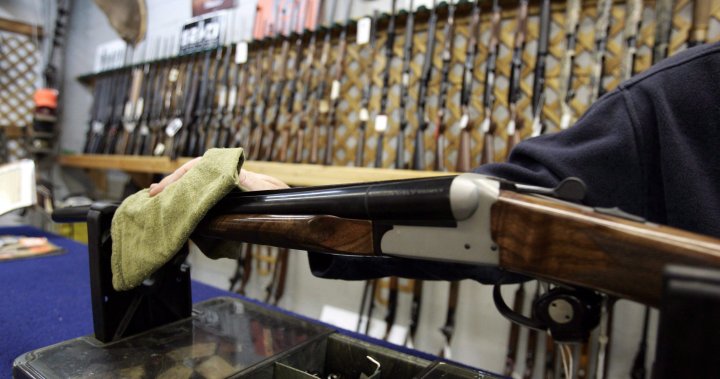 Ottawa stops short of national crime gun tracing, citing provincial control