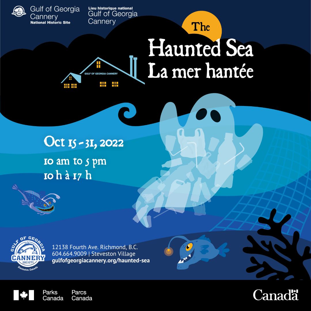 The Haunted Sea - image