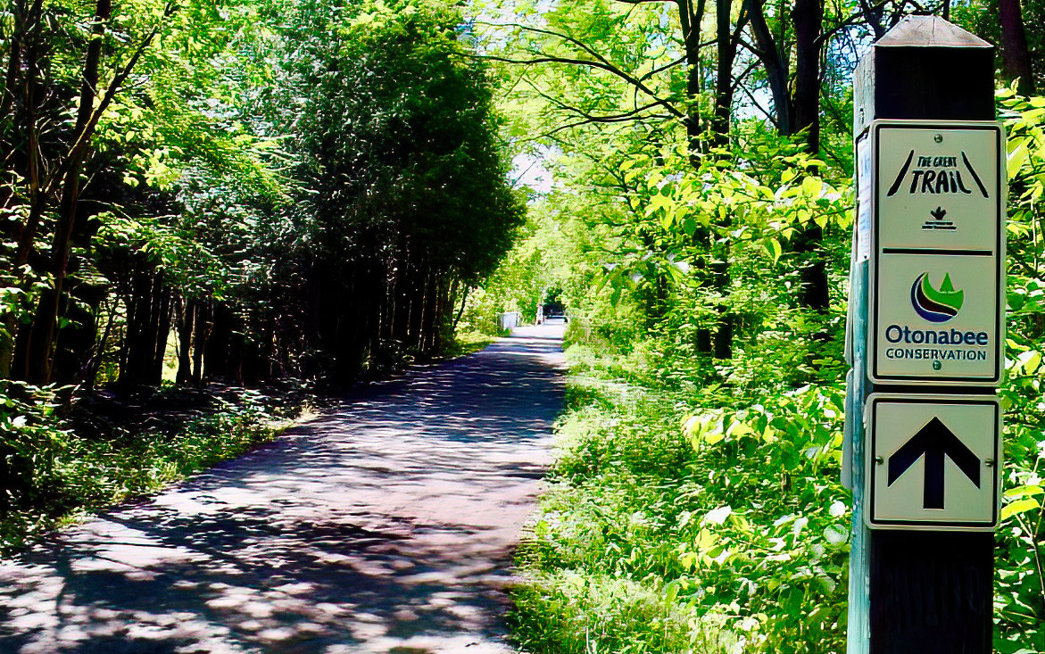 The Jackson Creek Trail in Peterborough is undergoing rehabilitation and is expected to reopen in mid-December 2022.