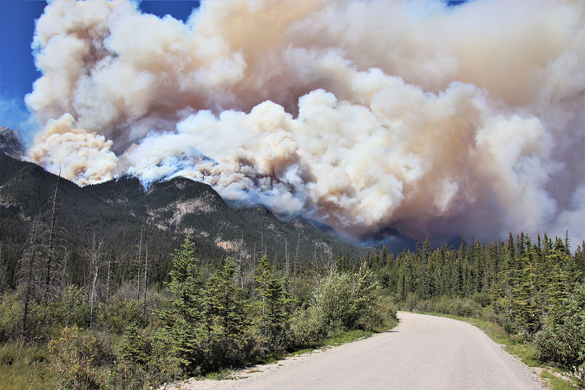 Wildfire Burning On Mountain Near Jasper No Risk To Townsite Parks   Jasper Fire 2 