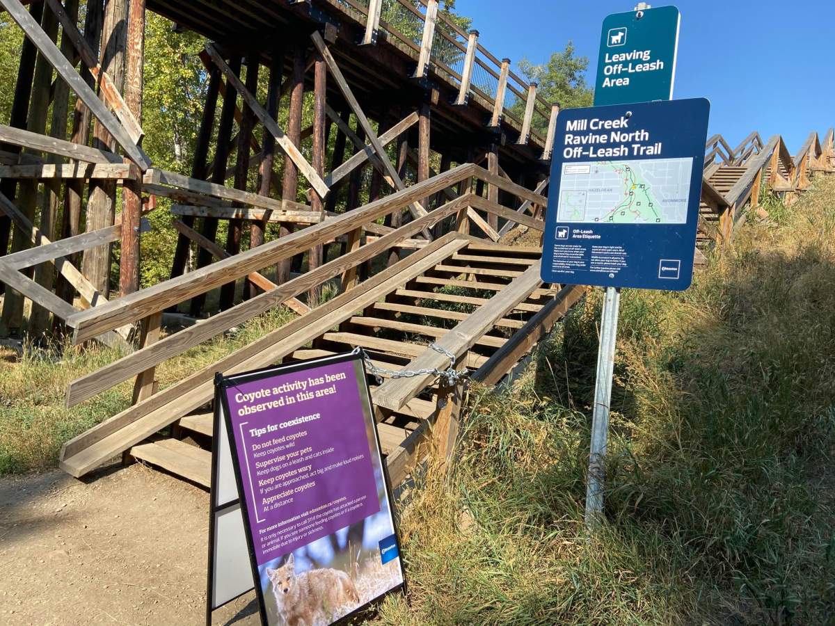 A coyote warning sign in the Mill Creek Ravine in Edmonton, Alta. on Wednesday, Sept. 14, 2022.