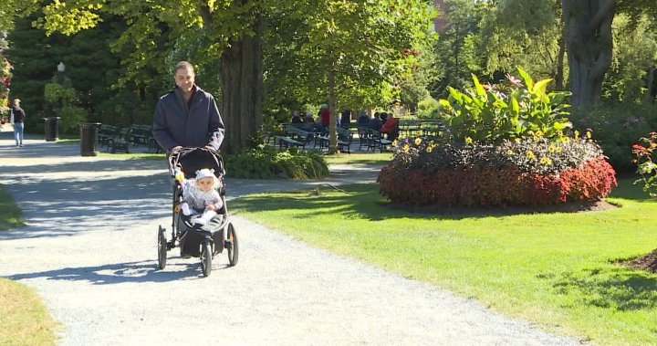 ‘It’s very sad’: Residents baffled by vandalism at Halifax Public Gardens
