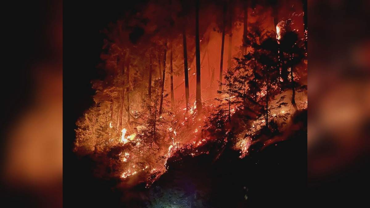 Firefighters are battling a new fire that ignited Saturday night in Mission, B.C.