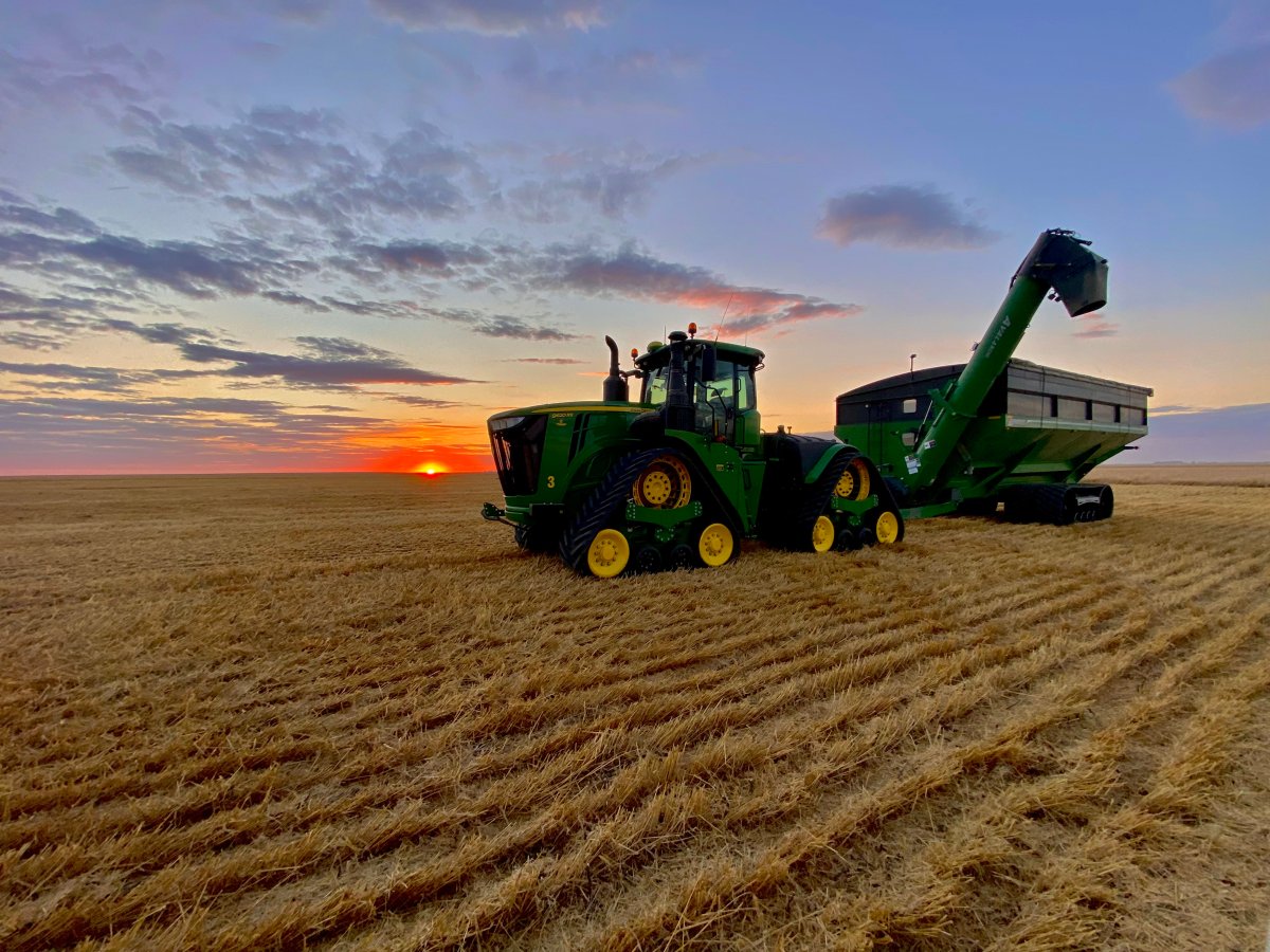 The September 26 Your Saskatchewan photo of the day was taken by Ryan Doyle near Sedley.