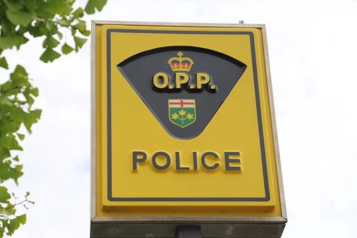 OPP say a man is dead after a vehicle collided with a train in Leeds County, Ont.