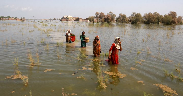 Pakistan’ı sel bastı: Ülkeye yardım akarken 1.200’den fazla ölü – Ulusal