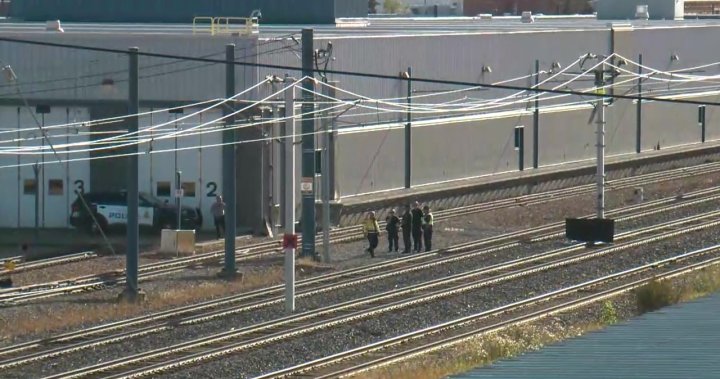 Deadly collision between cyclist and train halts LRT tracks in northeast Edmonton – Edmonton