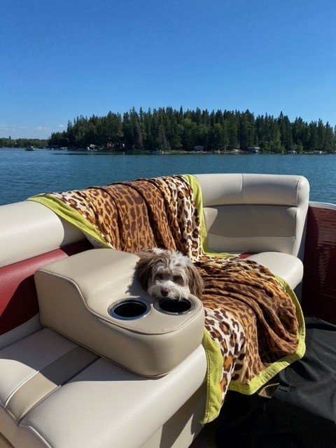 The September 11 Your Saskatchewan photo of the day was taken by Don & Deb Lewendon of Luna at Big Shell Lake.