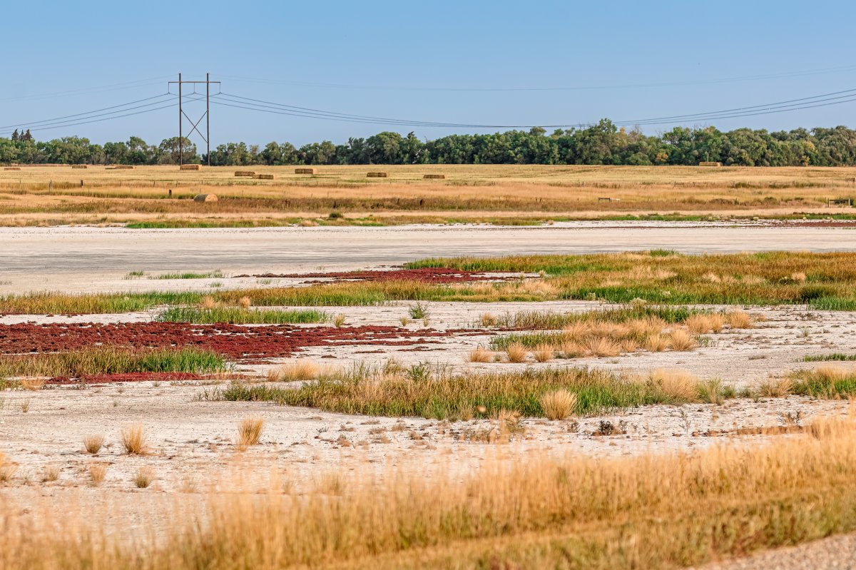 The Your Saskatchewan photo of the day for September 8 was taken by Jola Kedra in Shields.