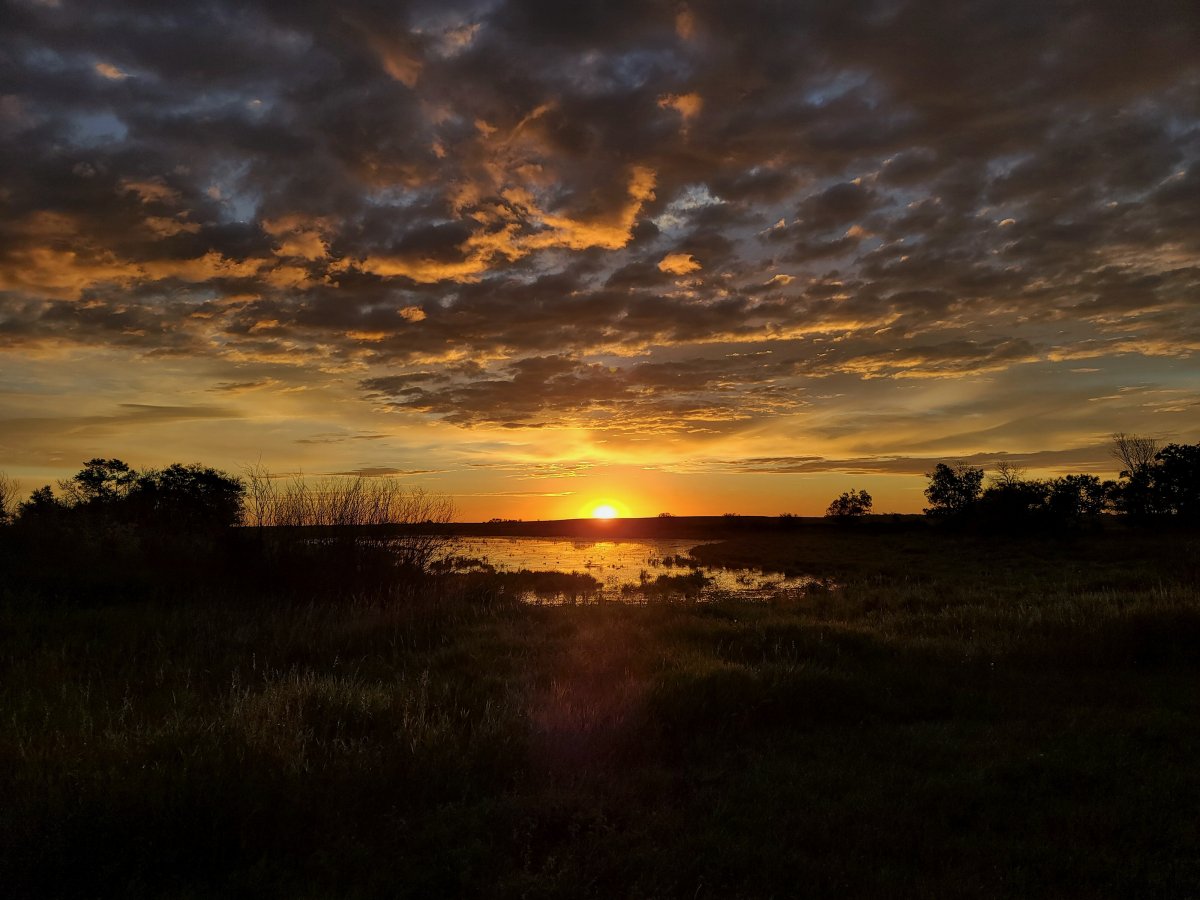 The Your Saskatchewan photo of the day for September 27 was taken by Michael Forman near Davidson.